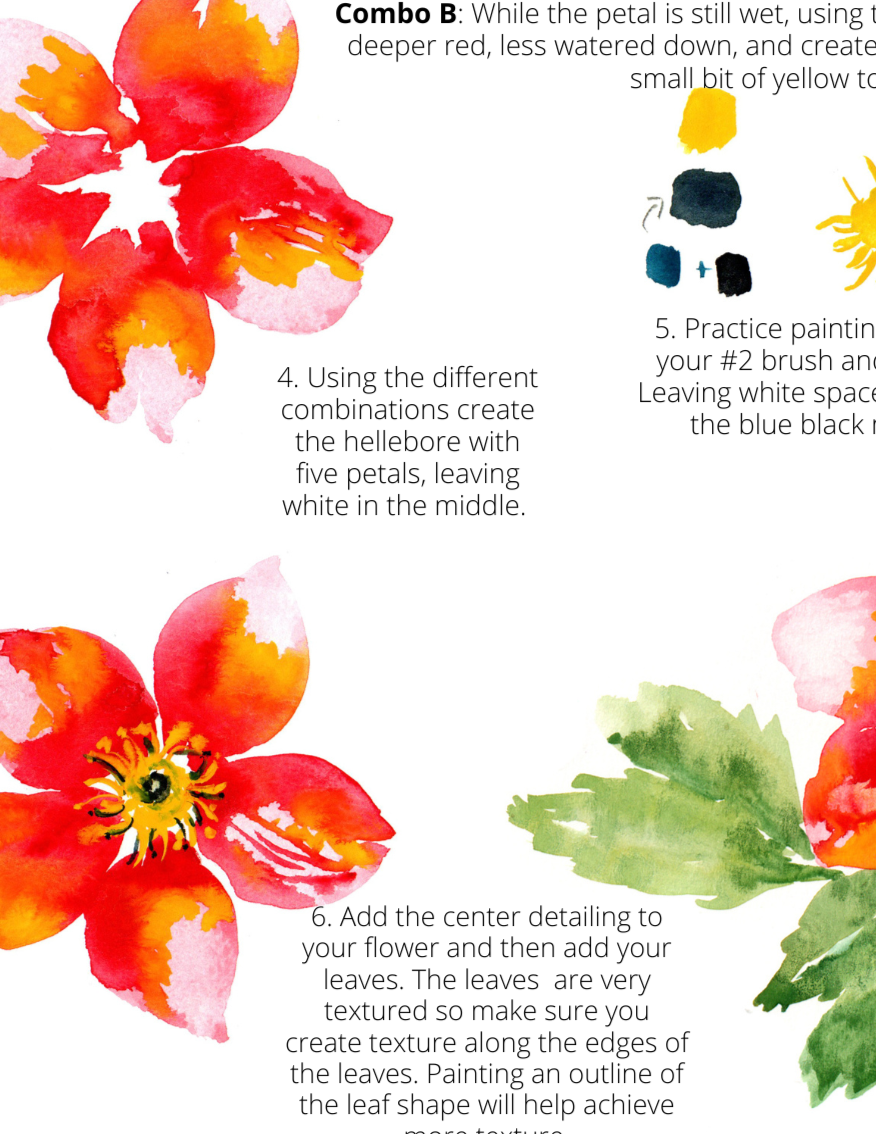 Shop the Paint by number watercolor Kit inspired by a dutch flower